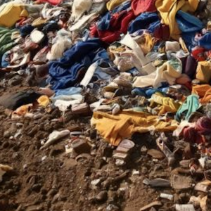 How Shein Quickly Became Fast Fashion’s Biggest Polluter