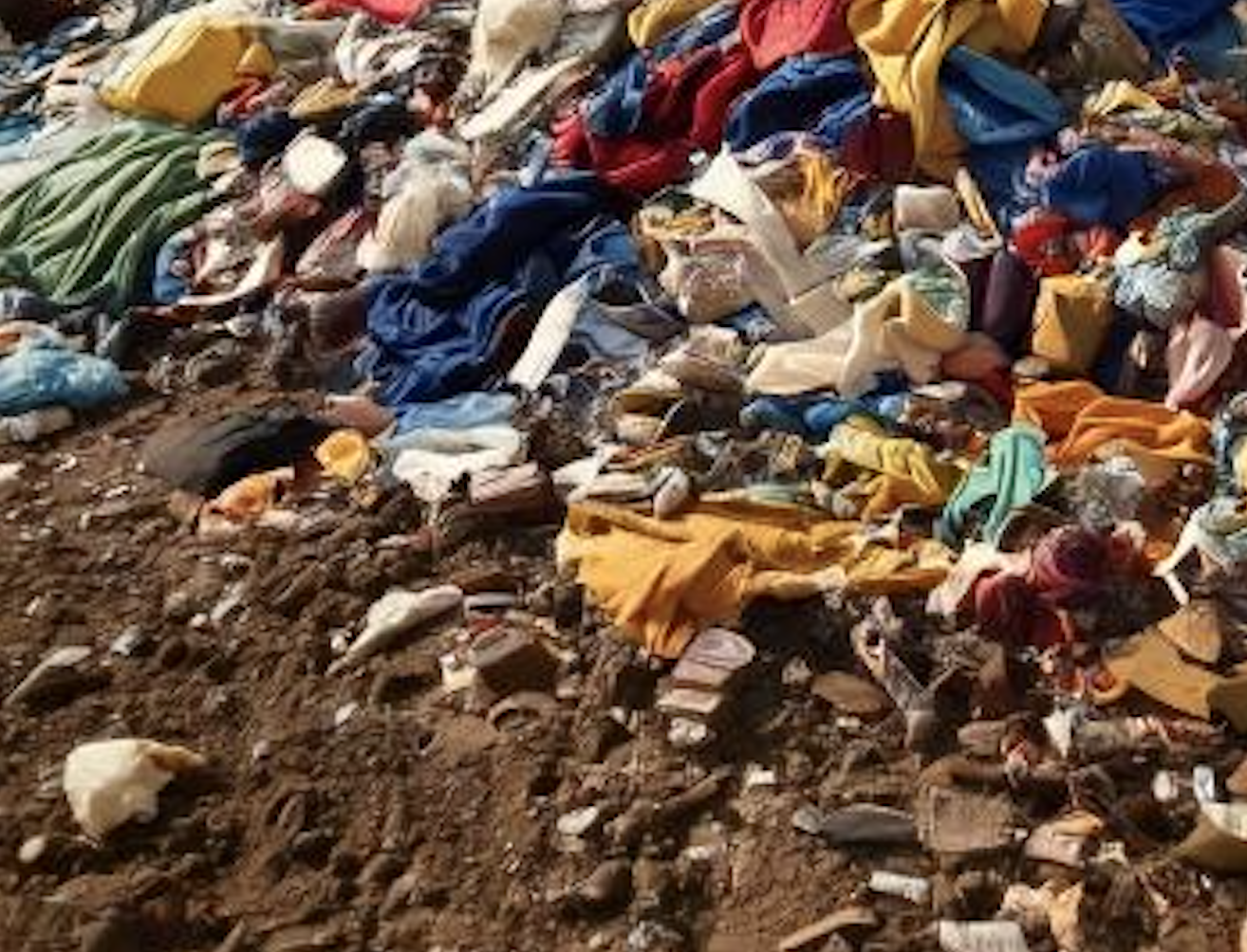 How Shein Quickly Became Fast Fashion’s Biggest Polluter