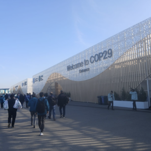 ZWAI at COP29: Civil Society Equity Review