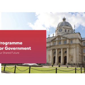 Wasted Opportunity: Gaps in Ireland’s New Programme for Government